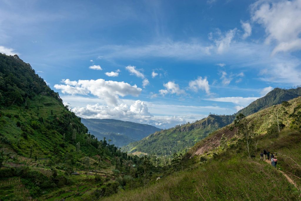 dark epic quests in fantasy fiction